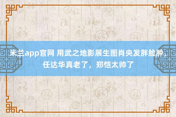 米兰app官网 用武之地影展生图肖央发胖脸肿，任达华真老了，郑恺太帅了